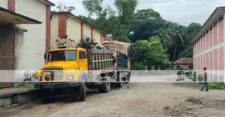 গুদামে জায়গা সংকটে ব্রাহ্মণবাড়িয়ায় ধান-চাল সংগ্রহে ধীরগতি